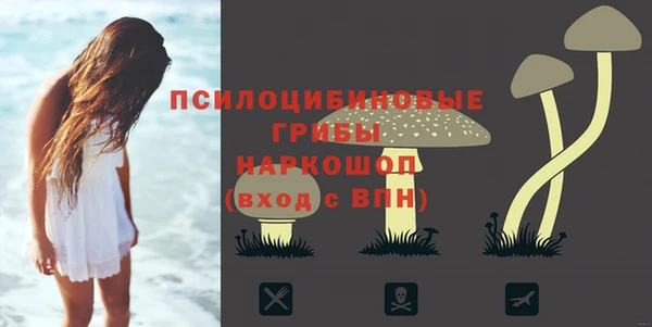 СК Алексеевка