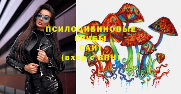 СК Алексеевка