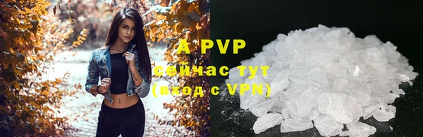 СК Алексеевка