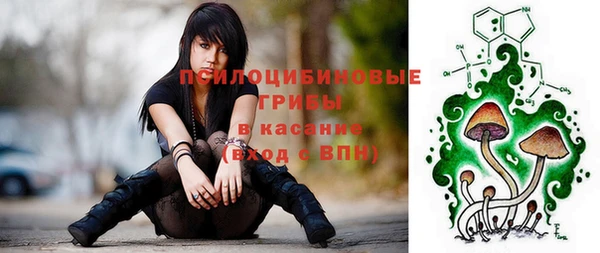 СК Алексеевка