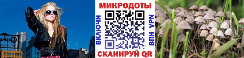 Галлюциногенные грибы Cubensis  где найти   kraken как зайти  Саки 