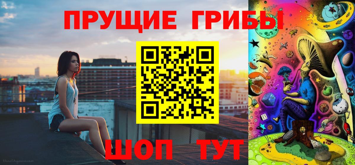 Саки  Галлюциногенные грибы Psilocybe  Вход с VPN 